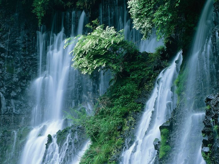 Живые водопады