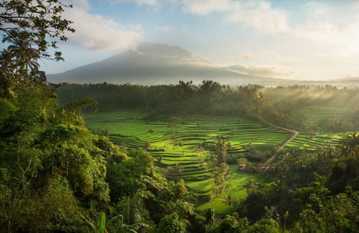 Бали пейзаж Убуд
