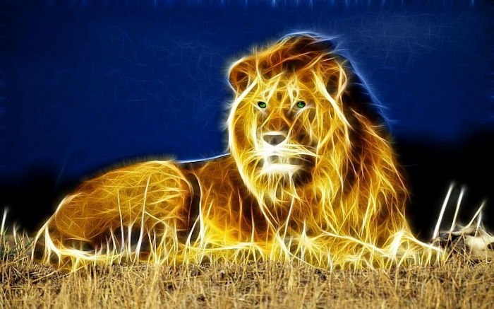 Фоны с красивыми львами