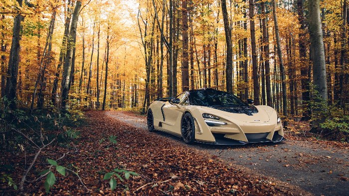 Автомобиль в осеннем лесу