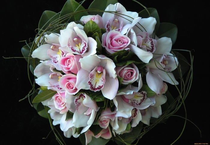 Красивые букеты из орхидей