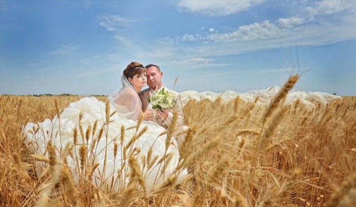 Свадьба в пшеничном поле