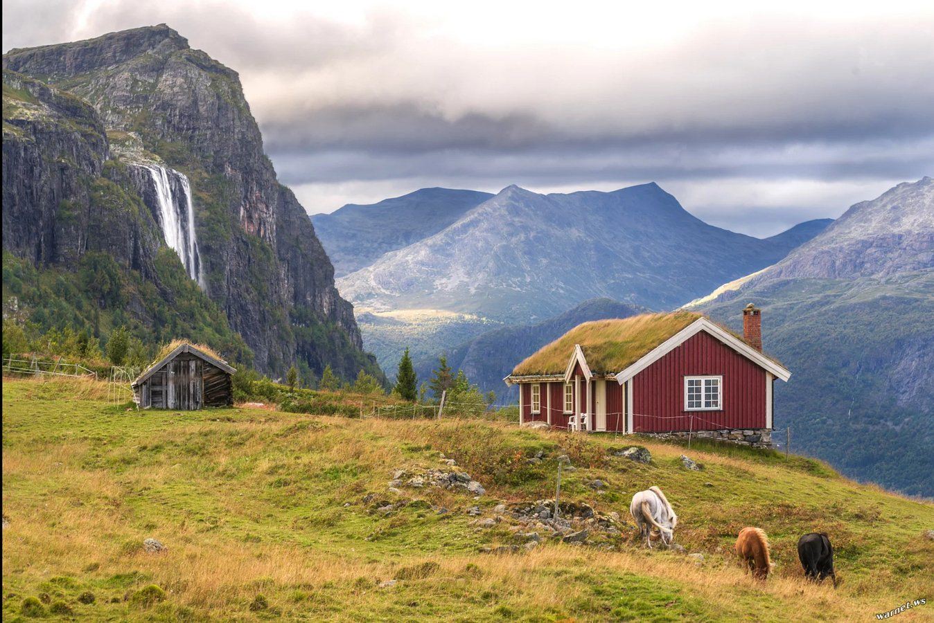 Интернет в норвегии. Фьорд Норвегия красный домик. Дом на фьорде в Норвегии. Одинокий дом в Норвегии фьорды. Удаленный дом во фьордах Норвегии..