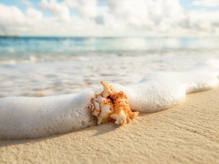 Песок на берегу