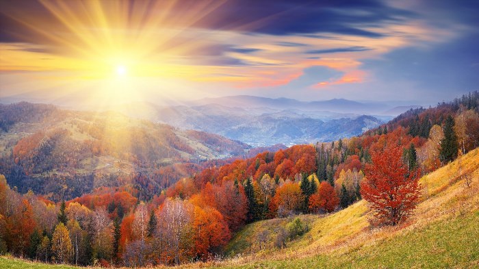 Осенний пейзаж с солнцем