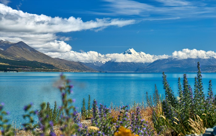 Озеро пукаки в новой Зеландии