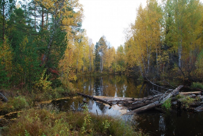 Река Суйга Томская область