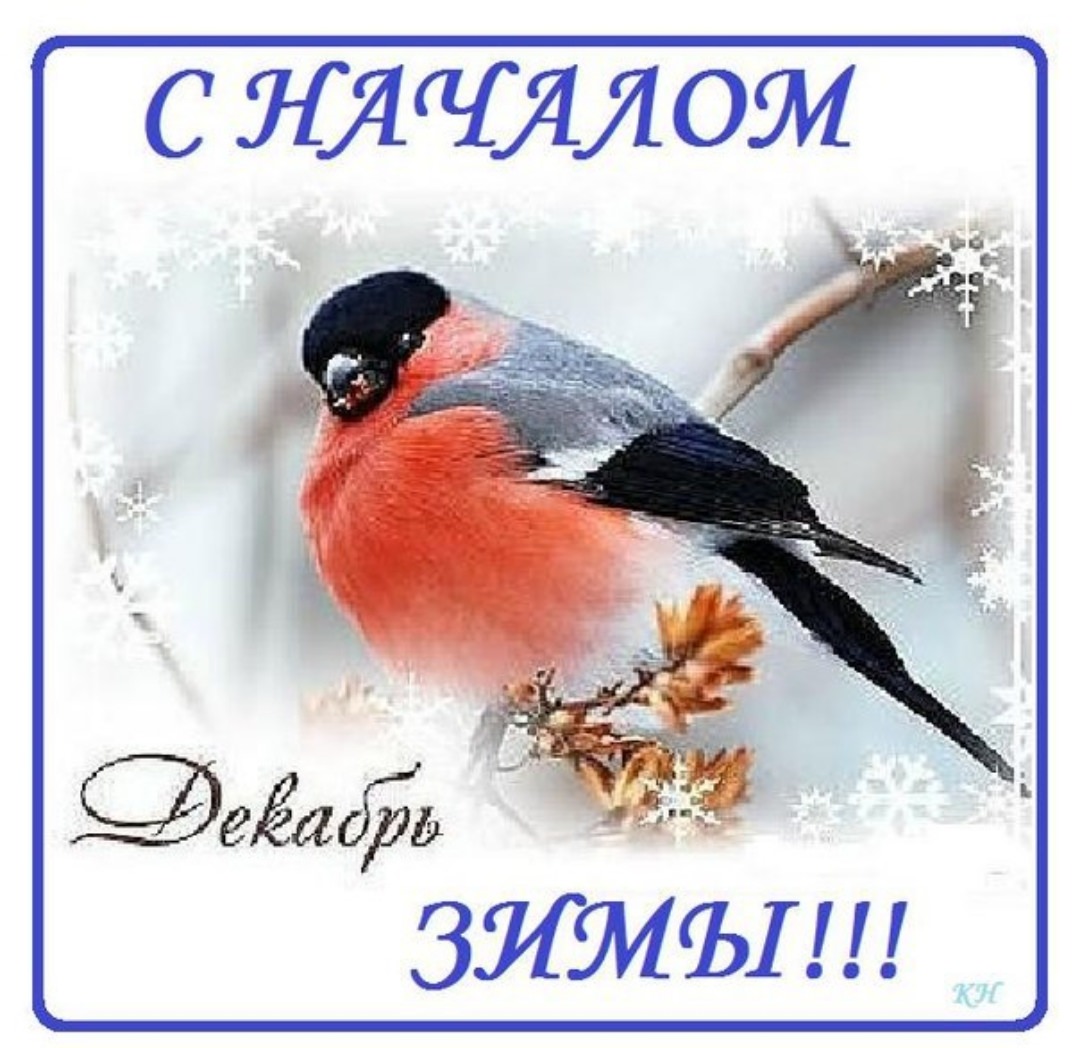 Зимующие птицы Москвы и Подмосковья