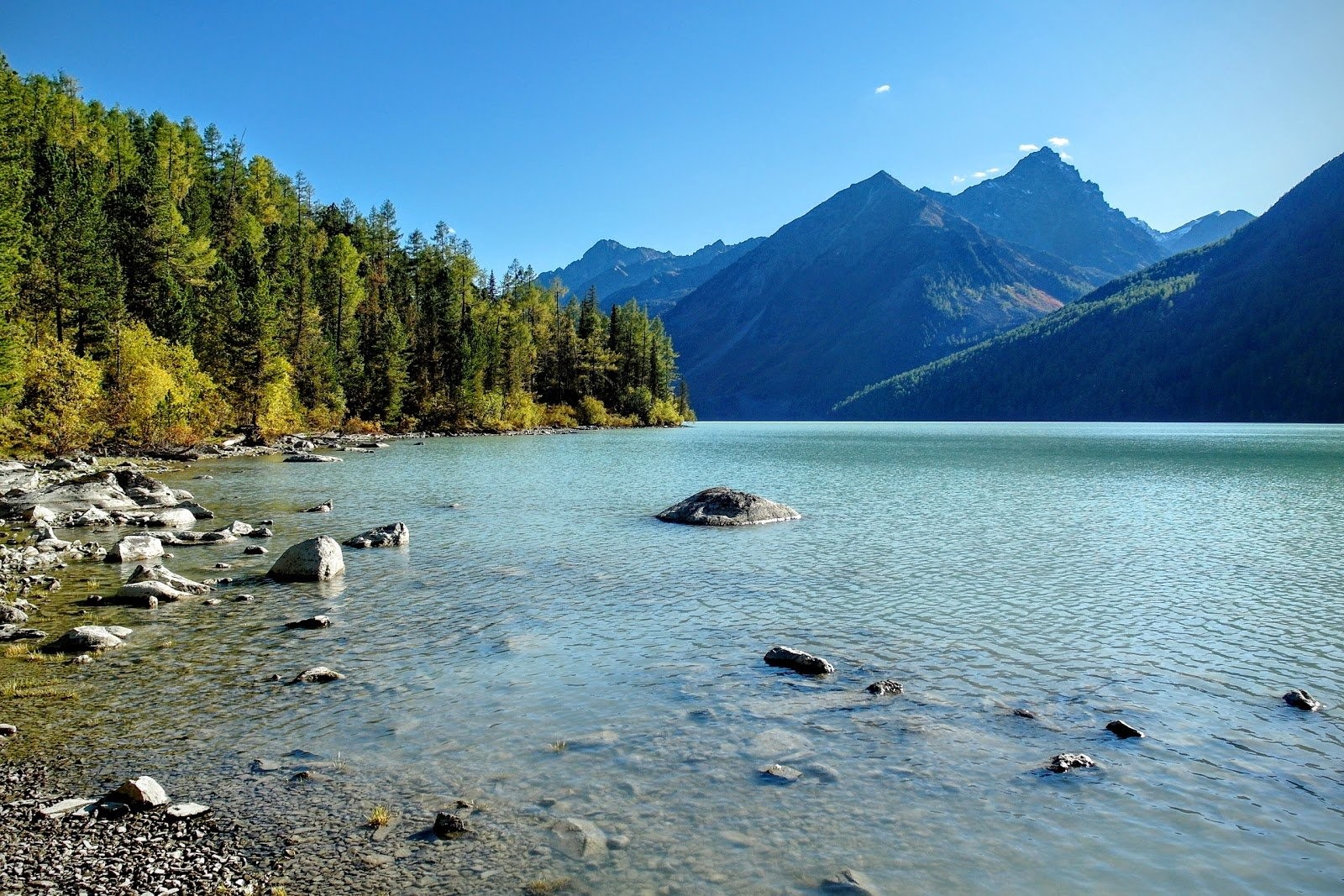 Озеро расположенное на алтае. Кучерлинское озеро Алтай. Озеро Дарашколь горный Алтай. Алтай озеро Кучерла. Река Кучерла горный Алтай.