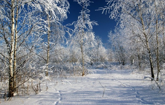 Зимние пейзажи средней полосы России