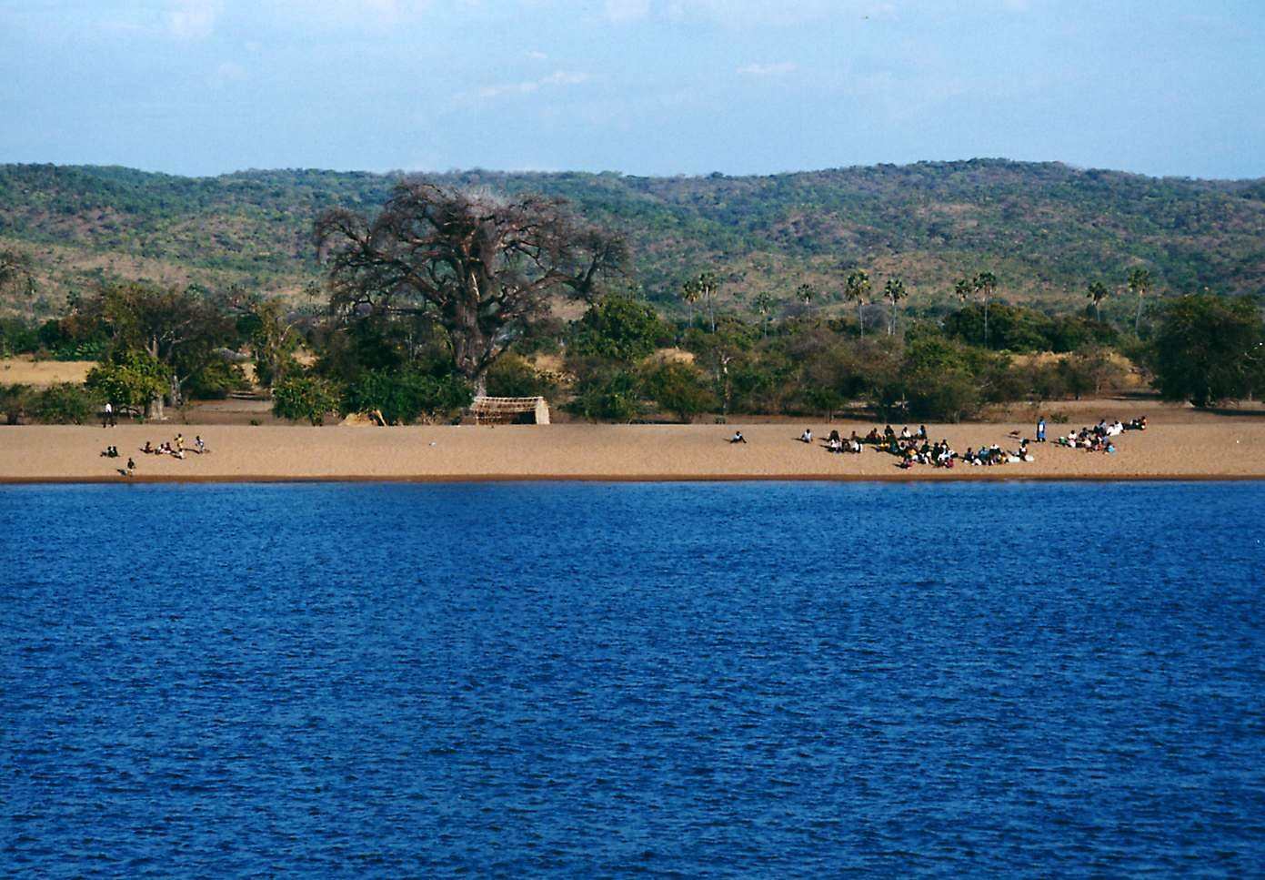 Восточно африканские озера. Озеро Ньяса Малави. Танзания озеро Танганьика. Озеро Ньяса в Танзании. Национальный парк озеро Малави.