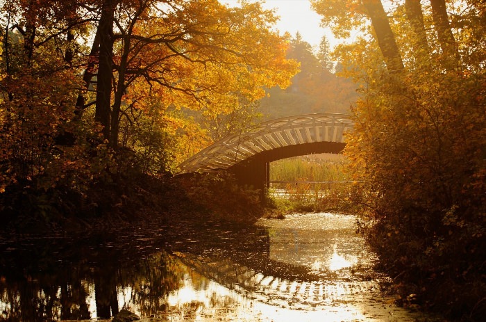 Осенняя природа с мостом