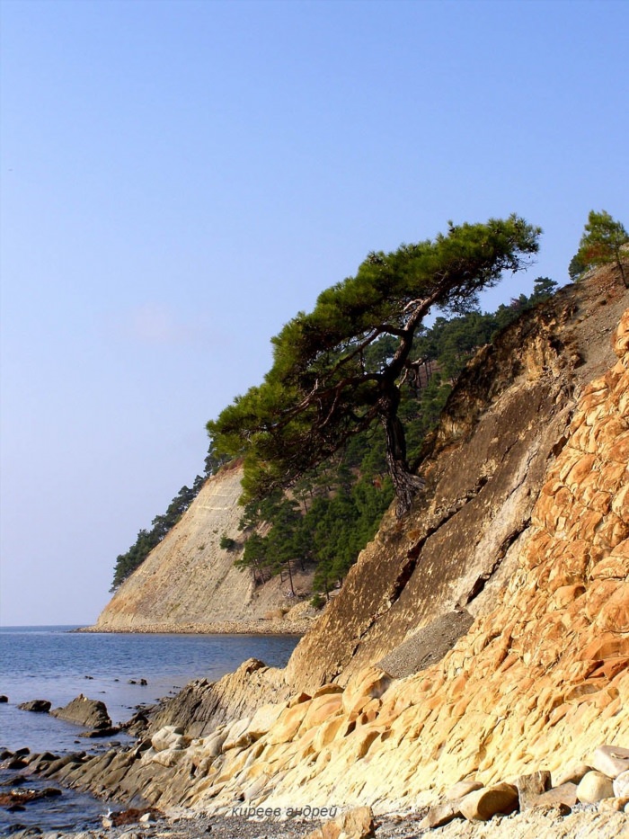 Пляж со скалой Геленджик