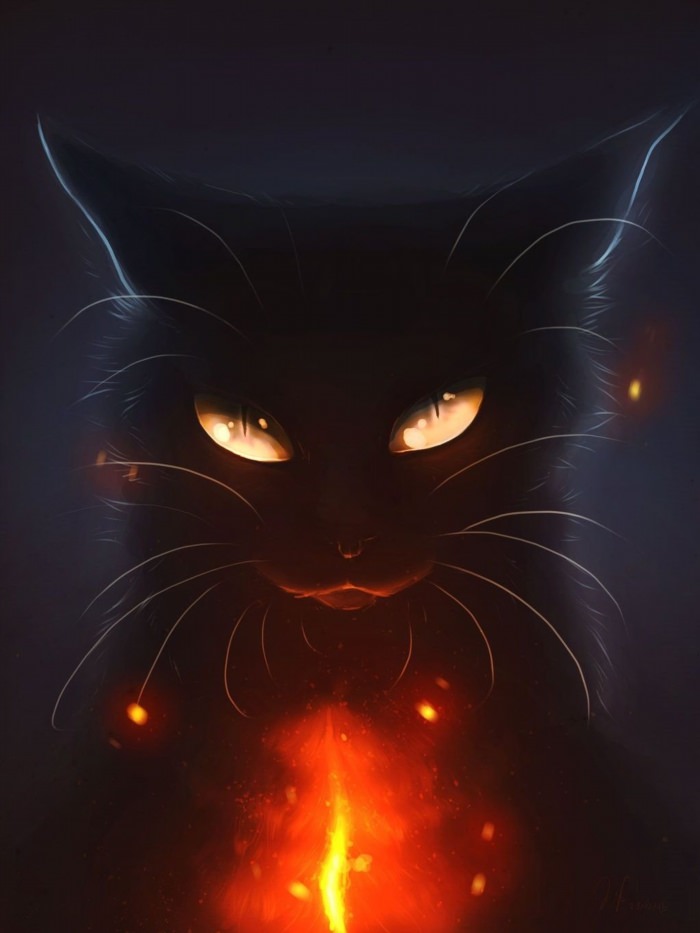 Черная кошка
