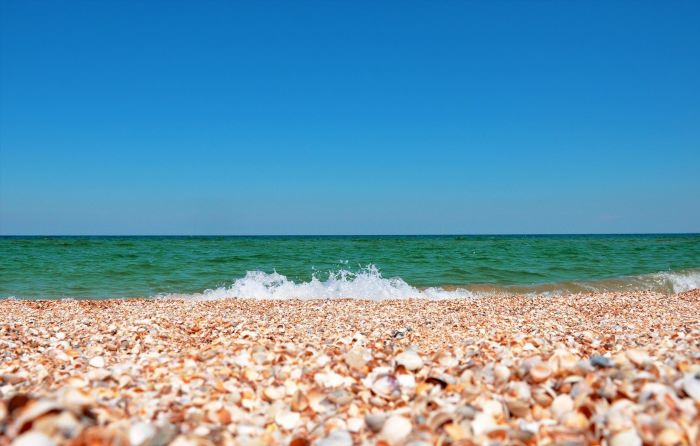 Ракушечный пляж на Азовском море