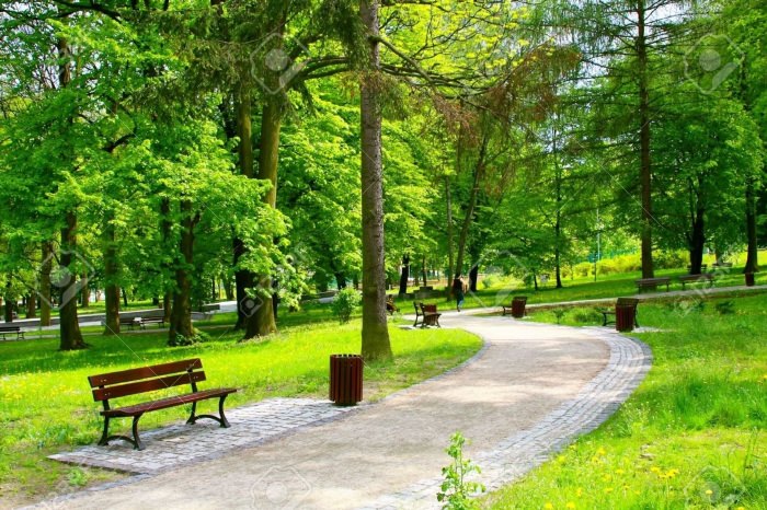 Парк городской лесопарк