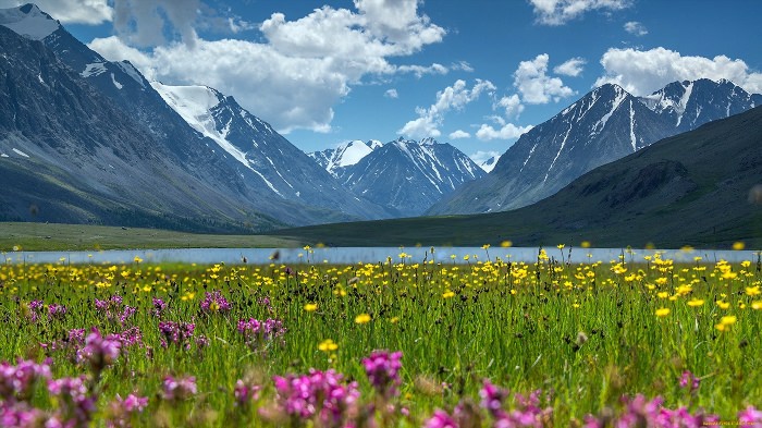 Природа горы Алтай