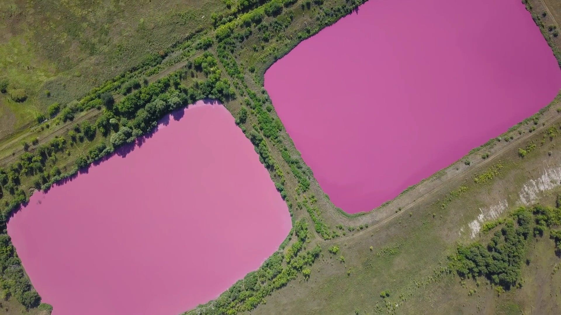 Есть красное озеро. Розовое озеро Самарская область. Резаково Самарская область. Красное озеро Самарская область. Белое озеро Самара озеро.