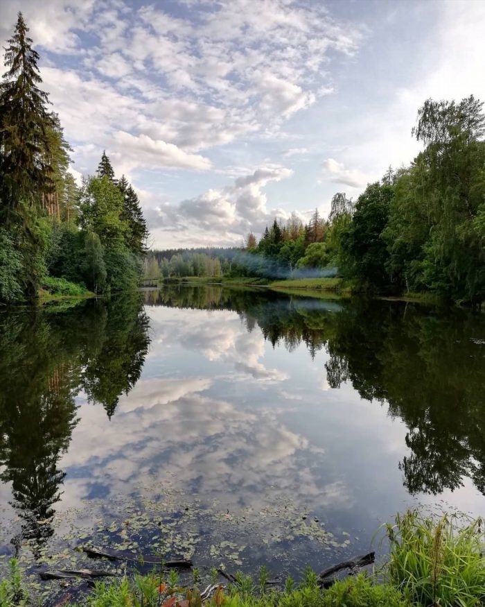 Лесное озеро Подушкинский лес