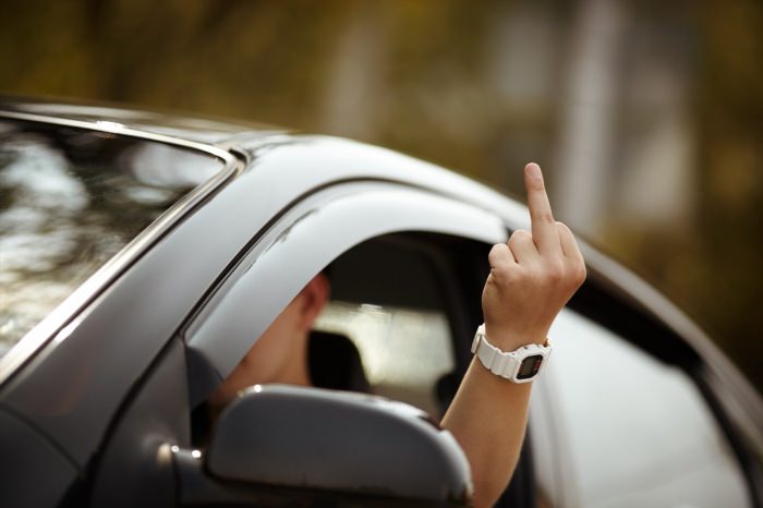 Средний палец из окна машины