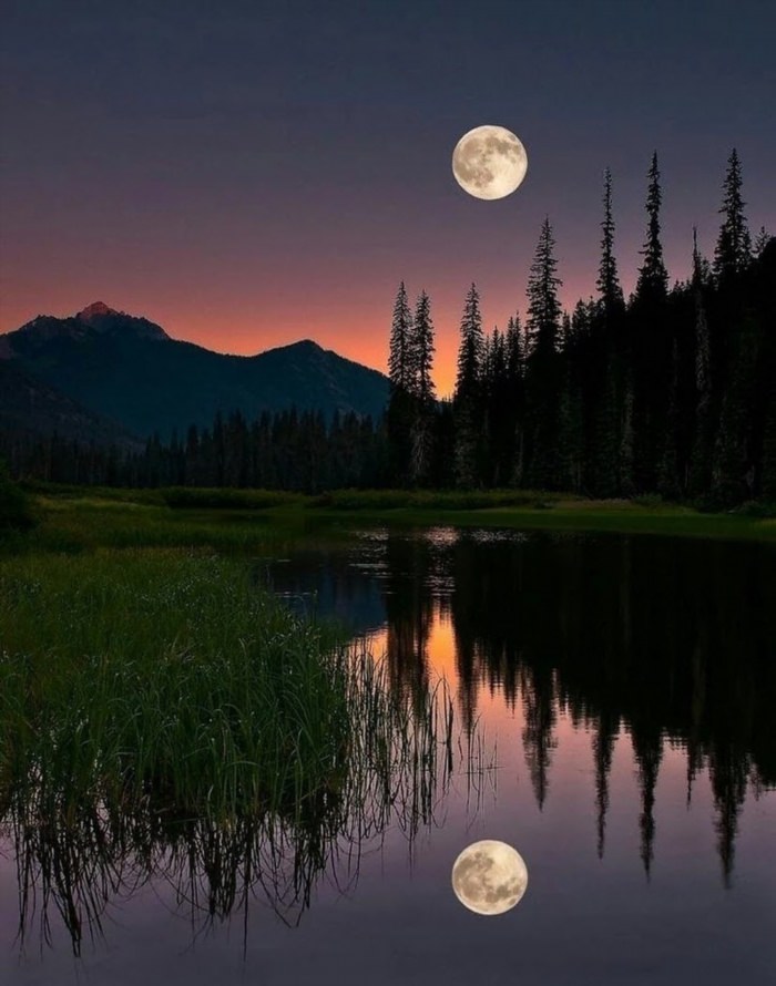Красивые пейзажи с луной