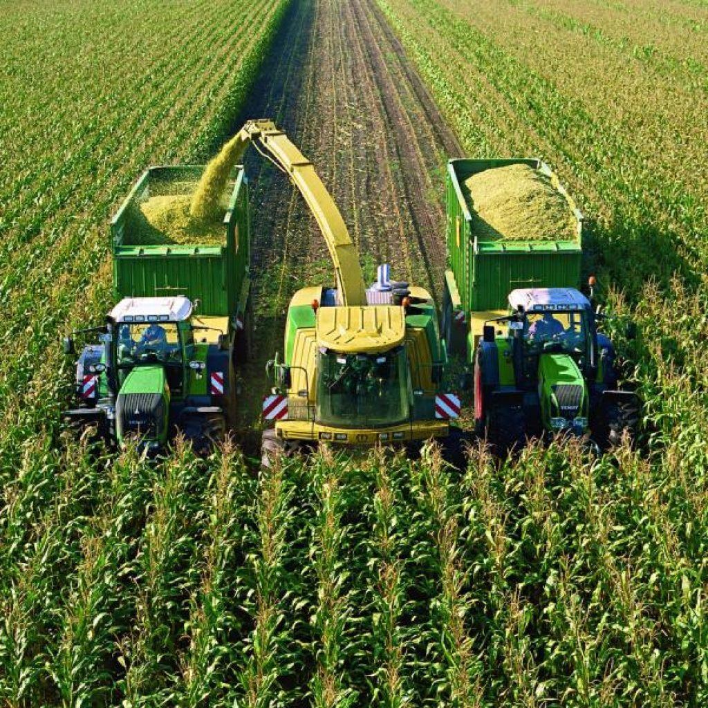 Технология уборки урожая. Машина для сбора урожая. Сбор урожая. Машины для уборки урожая. Уборка урожая.