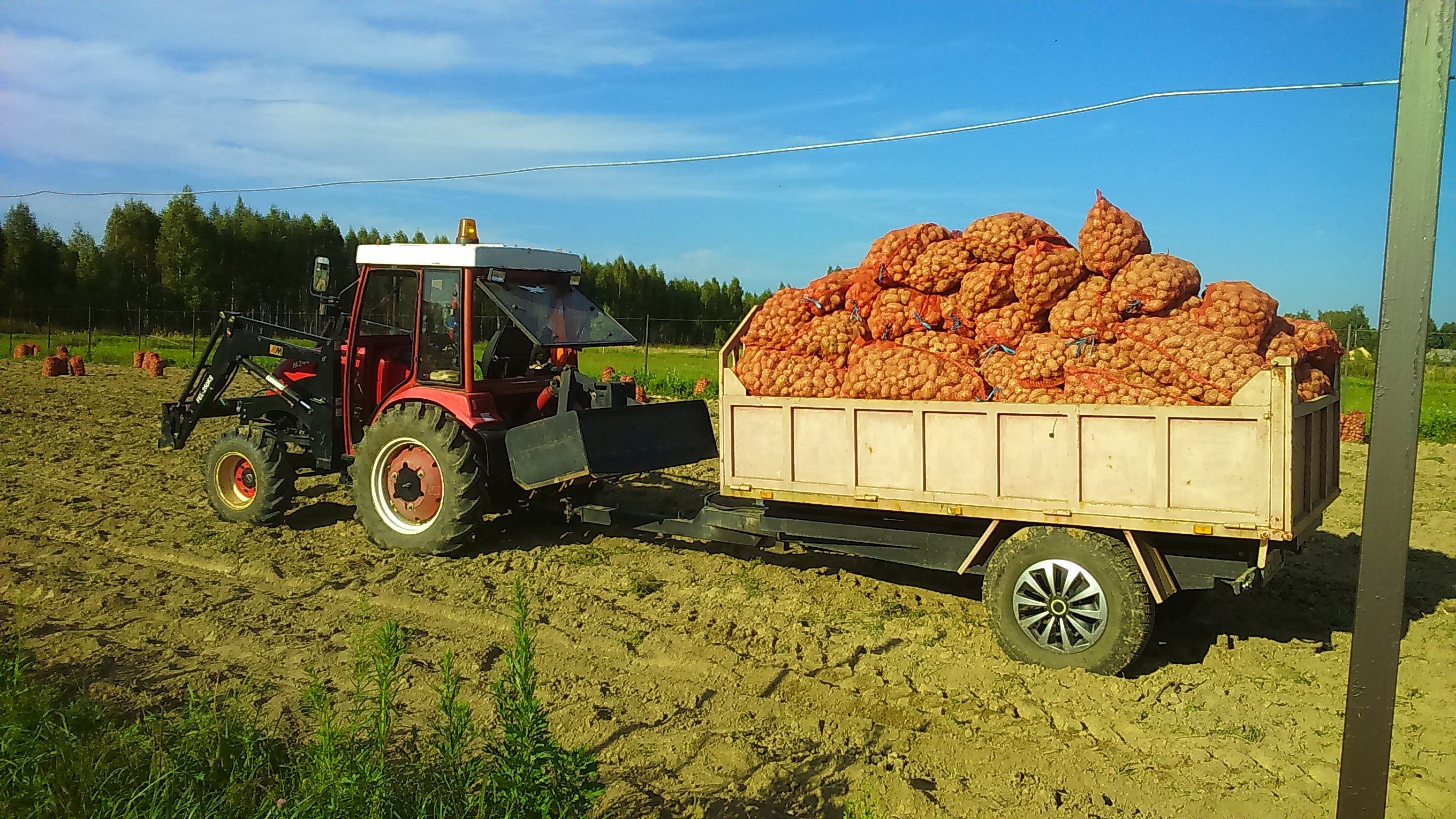 Был собран урожай 42. Трактор МТЗ 82 уборка картофеля. Машины с урожаем. Грузовой автомобиль сельское хозяйство. Уборка урожая.