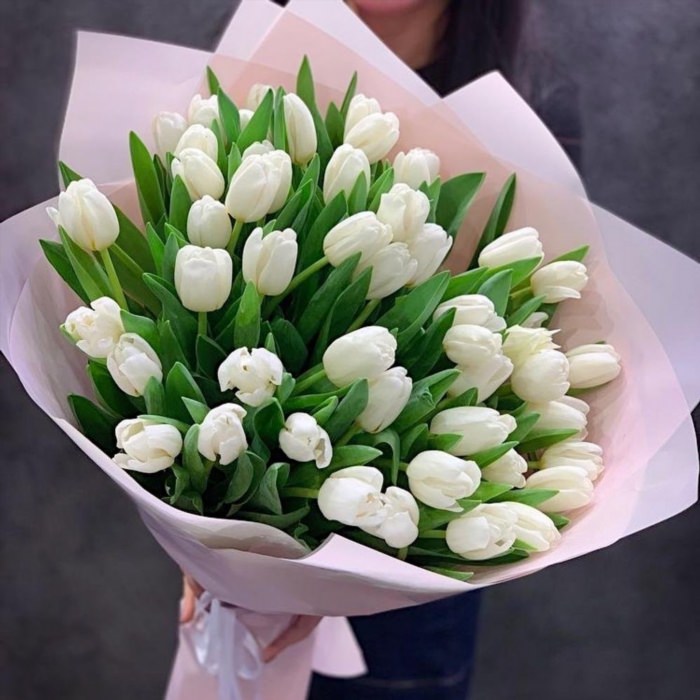 Красивый букет белых тюльпанов