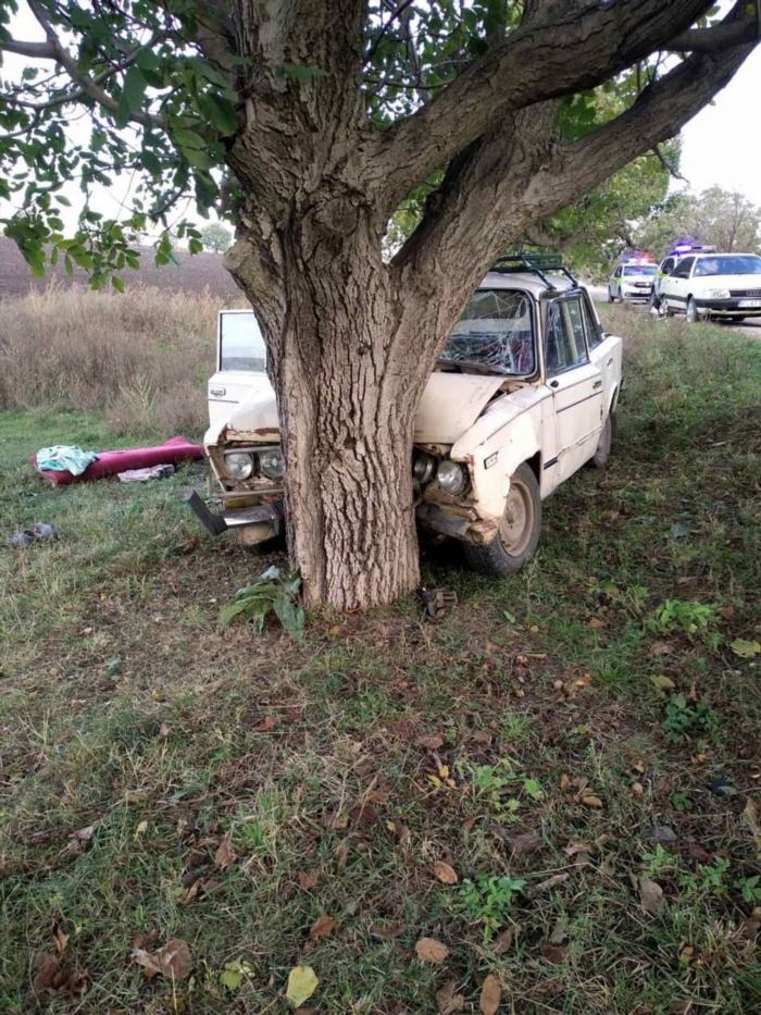 Машина въехала в дерево