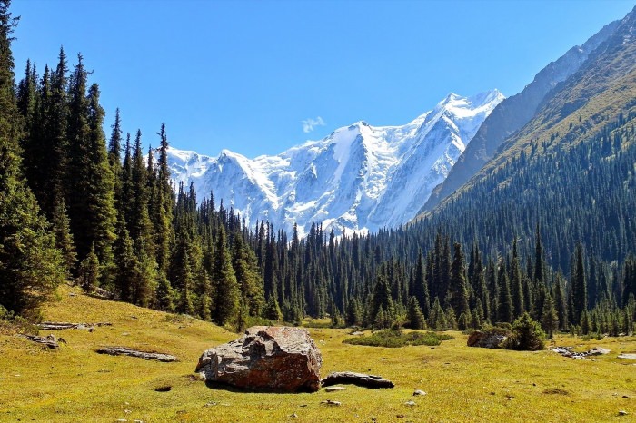 Гора Алатау Киргизия