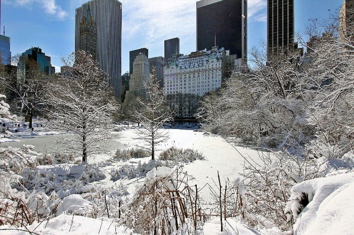 Централ парк Нью Йорк зимой