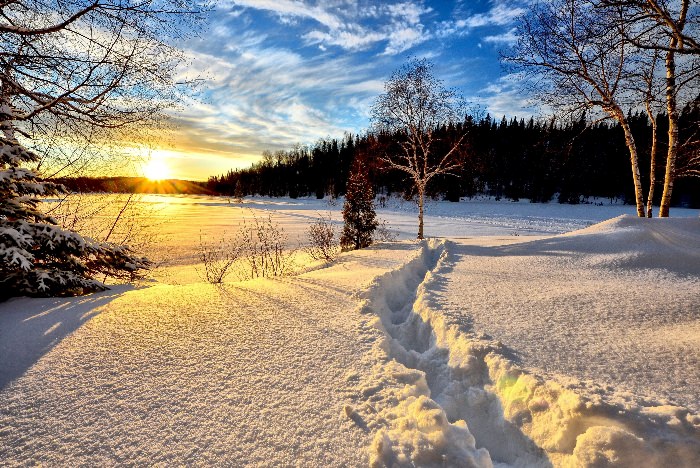 Зимний Солнечный пейзаж