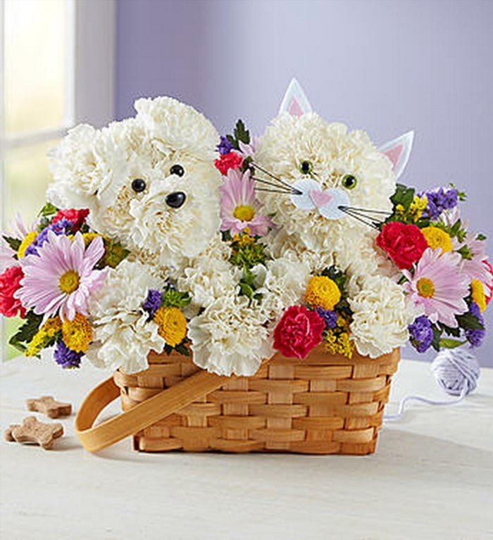 Букет собака из цветов