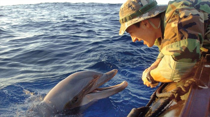 Спасение морских животных