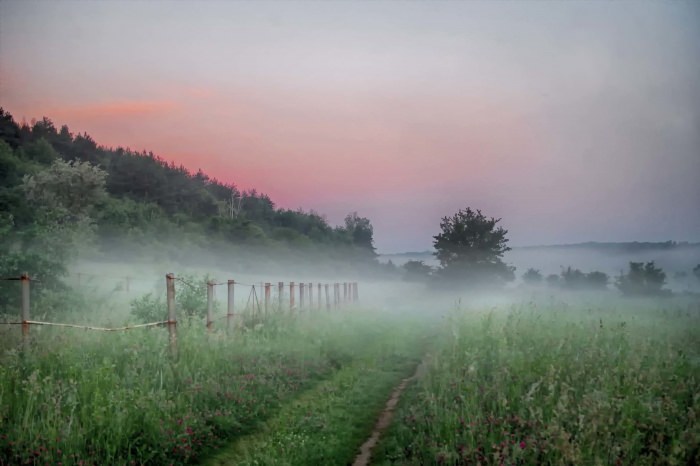 Пейзаж утренний туман