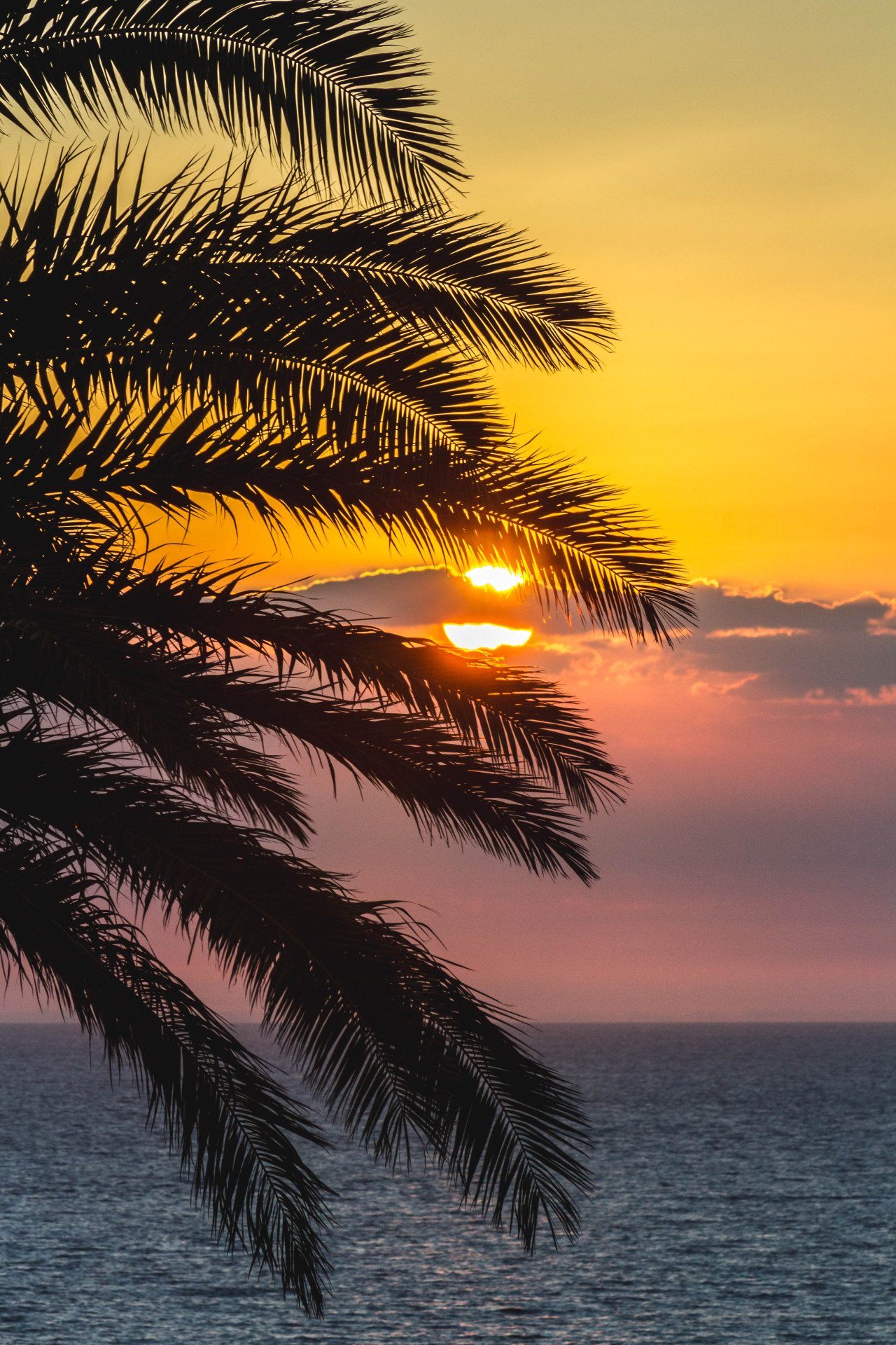 Красивый закат на телефон. Пальмы солнце. Море пальмы. Красивые пейзажи с пальмами. Пальмы вечер.