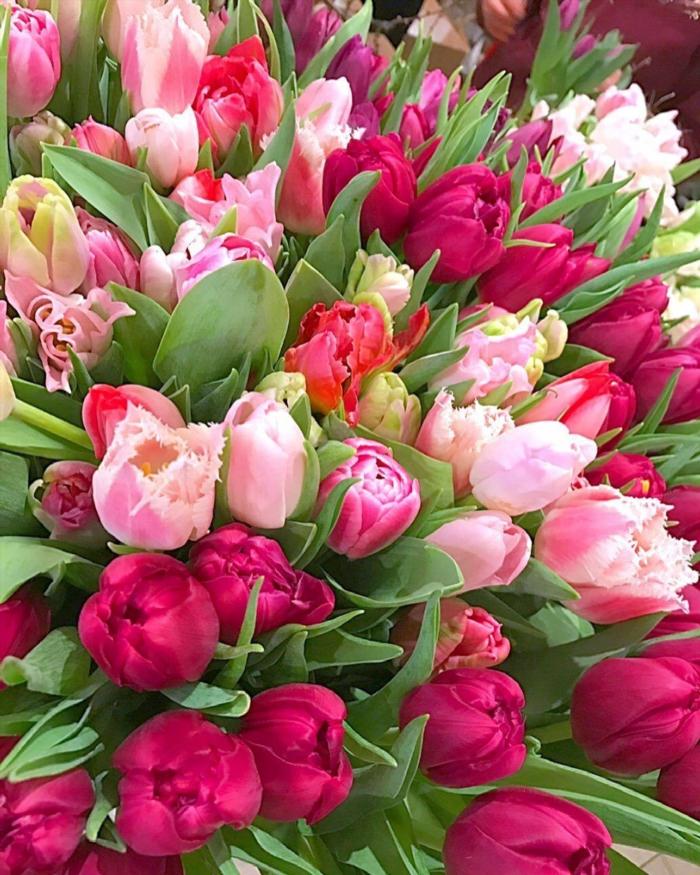 Букет цветов тюльпаны живые