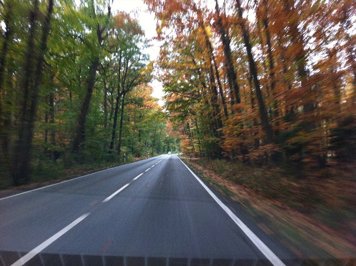 Осенняя дорога из окна машины