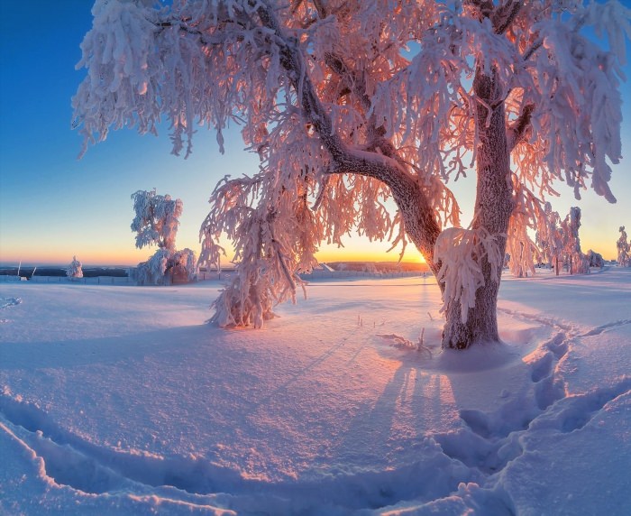 Русская природа зимой