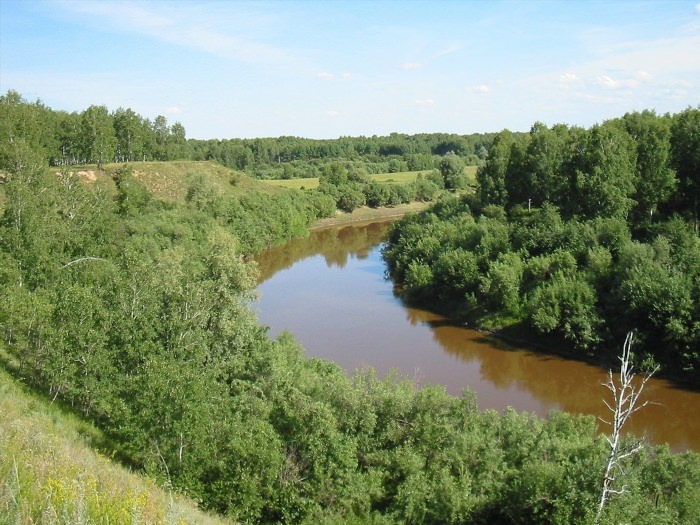 Река тара Новосибирская область