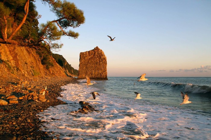 Черное море Геленджик