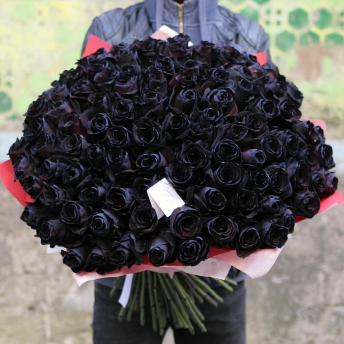 Огромный букет черных роз