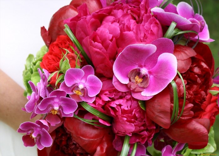 Цветы орхидеи букет