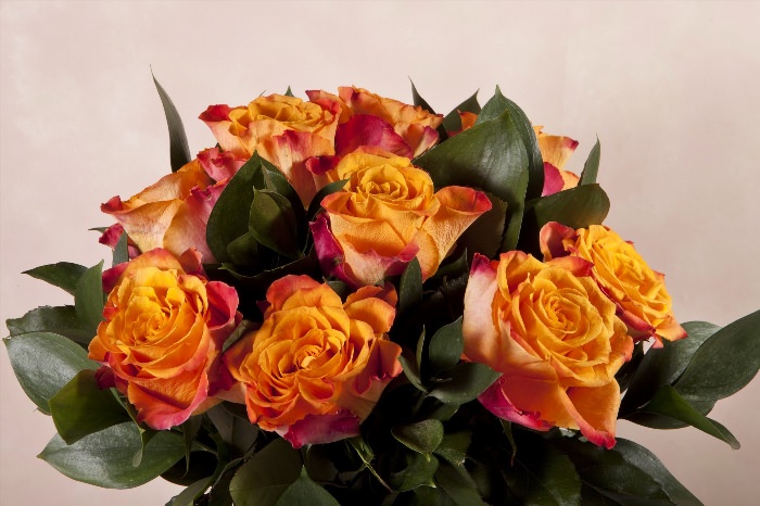 Желто оранжевые розы букет