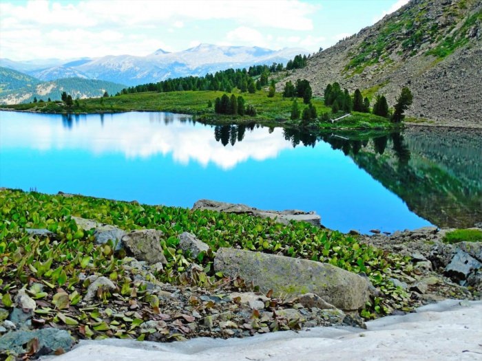 Манас озеро в Горном Алтае
