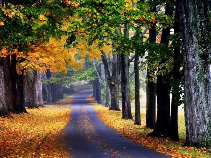 Осенние пейзажи Луисвилль штат Кентукки