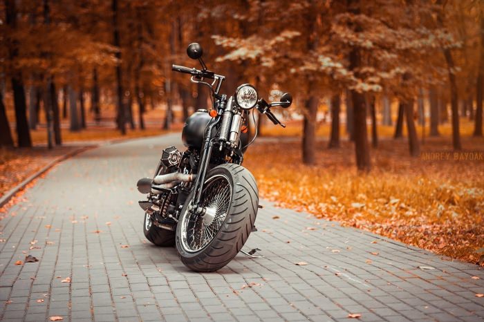 Осенний мотоцикл