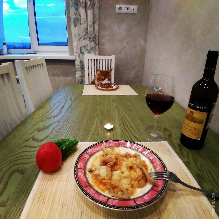 Ужин на 1 человека. Домашний ужин на кухне. Романтический ужин на кухне. Ужин фото. Ужин дома фото.