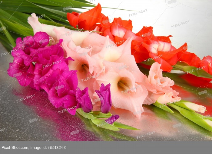 Цветы гладиолусы букет