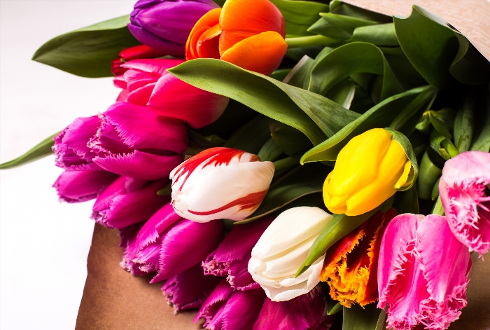 Цветы живые букет тюльпанов